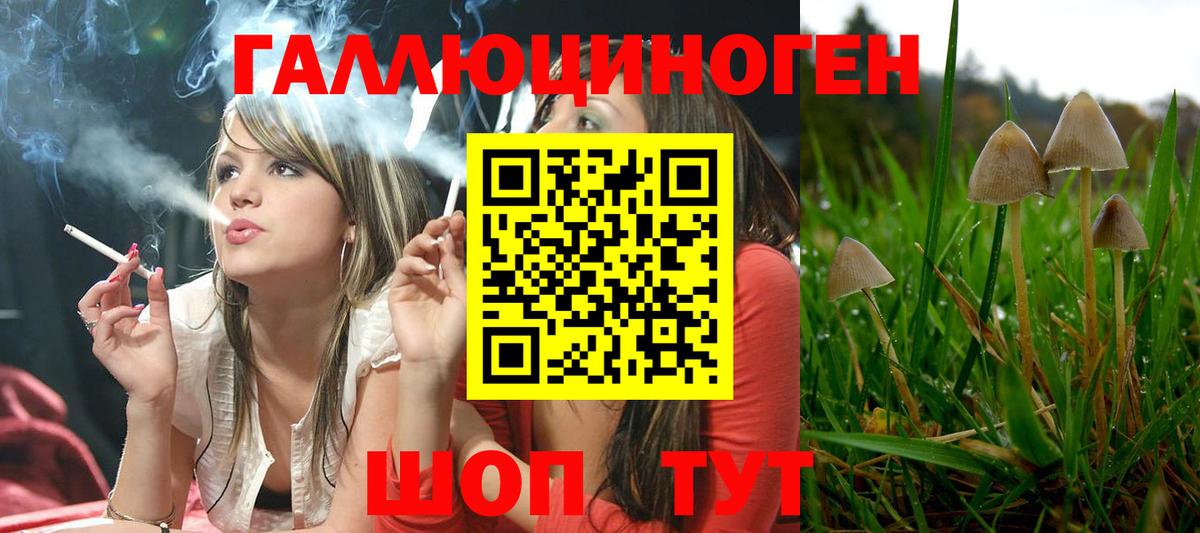 Галлюциногенные грибы GOLDEN TEACHER Советский