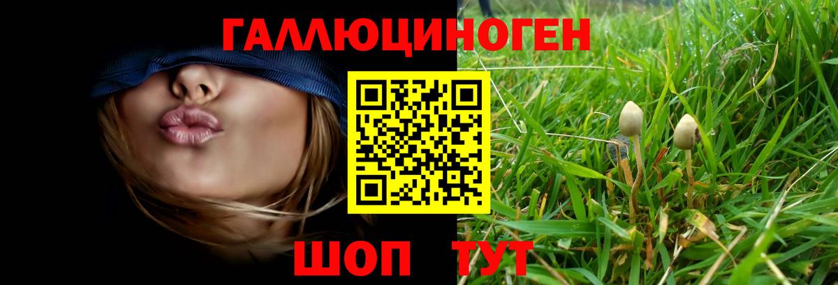 Советский  Галлюциногенные грибы Psilocybe  Вход с VPN 
